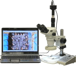 AmScope ZM-1TNW2-80AM-5M ZM-1 Series Zoom Trinocular Stereo Microscope 3.35X-225X Magnification on Pillar Stand w/ 80-LED Light + 5MP Digital Camera (0)