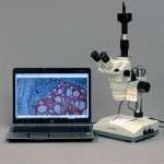 AmScope ZM-2TZ Ultimate Zoom Trinocular Microscope 3.35X-90X Magnification on Pillar Stand w/ Two Lights (4)