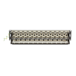 Black Box C6AFP70S-48 CAT6A Staggered Feed-Through Patch Panel - 2U, Shielded, 48-Port (1)