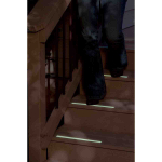 Brady 105909 GlobalMark BradyGlo High Intensity Phosphorescent Labels, 4.125 in W x 50 ft L (3)
