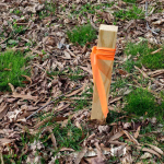 Brady 58344 Flagging Tape, Orange (3)