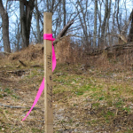 Brady 58344 Flagging Tape, Orange (4)