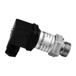 NOVUS 8801512010 NP400 Ceramic Sensor, 1/2 NPT, DIN, IP65, 4-20MA, 0-10 bar (145 Psi) (0)