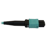 Tripp-Lite N844B-02M-12-P 40/100/400G Multimode 50/125 OM3 Fiber Optic Cable (12F MTP/MPO-PC F/F), LSZH, Aqua, 2 m (6.6 ft.) (3)