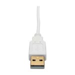 Tripp-Lite P137-06N-DVI-DL Mini DisplayPort to DVI Dual-Link Active Adapter Video Converter (M/F), 6-in. (15.24 cm) (2)