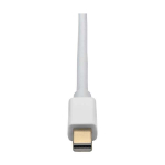 Tripp-Lite P137-06N-DVI-DL Mini DisplayPort to DVI Dual-Link Active Adapter Video Converter (M/F), 6-in. (15.24 cm) (3)