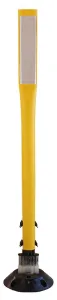 Product image for FBS113YLWT