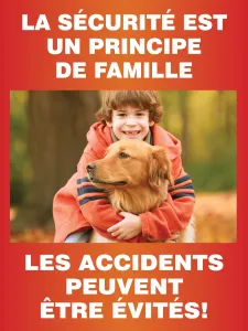 Accuform FRPST164 Safety Posters: Safety Is A Family Value - Accidents Are Avoidable
