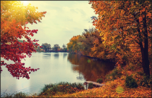 Accuform LPM102X Table-Gard Disposable Work Mats