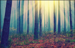 Accuform LPM103L Table-Gard Disposable Work Mats