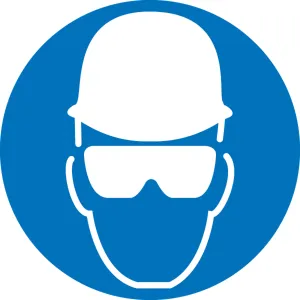 Accuform LSGM2222 ISO Safety Label: (Wear Head and Eye Protection) 2003/2011