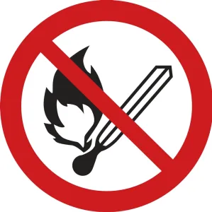 Accuform LSGP6332 ISO Prohibition Safety Label: No Fire Or Open Flame (2011)