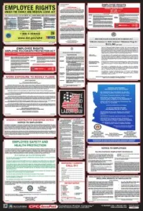 Accuform PPG300AZ 40" x 27" OSHA Safety Poster: Combo State, Federal & OSHA Labor Law Poster Arizona