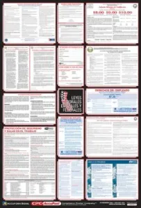 Accuform PPG400CA 40" x 27" Poster: Combo State, Federal and OSHA Labor Law (Spanish) California