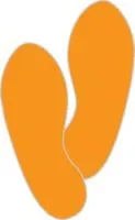 Product image for PTS247OR