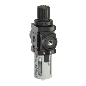 Product image for P39124-100