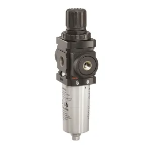Product image for P39124-124