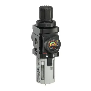 Product image for P39124-600