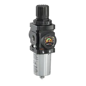 Product image for P39124-620
