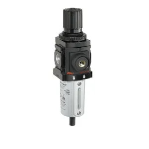 Product image for P39234-110