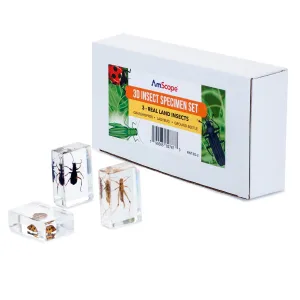 Product image for INST-3D-2
