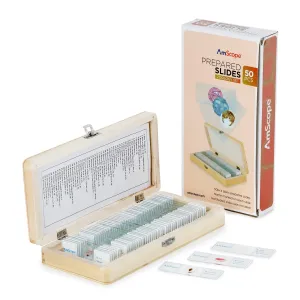 AmScope PS50W-ZLG 50pc Prepared Glass Microscope Zoology Slide Specimens w/ Wooden Case