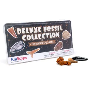 AmScope RK-18FOS Deluxe Fossil Collection w/18 Unique Specimens and Full Color Identification Card
