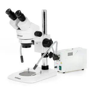 AmScope SM-1BNX-FOD-M Zoom Binocular Stereo Microscope 3.5X-45X Magnification w/ 150W Halogen Dual Gooseneck Lights and 1.3MP USB 2.0 C-mount Camera on Compact Pillar Stand