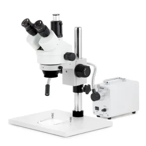Product image for SM-1TZZ-30WS-10M