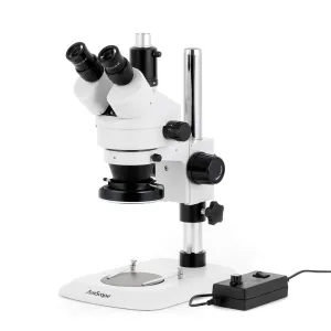 Product image for SM-1TNX-144-14M3