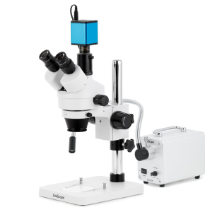 AmScope SM-1TSX-30WS-AF25 SM-1 Series Zoom Trinocular Stereo Microscope 3.5X-45X w/ 30W LED Fiber Optic Single Gooseneck Light and 1080P 5MP HDMI Auto-focus Camera on Pillar Stand