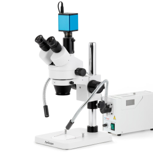 AmScope SM-1TSZZ-FOD-AF1 SM-1 Series Zoom Trinocular Stereo Microscope 3.5X-180X w/ 150W Halogen Dual Gooseneck Lights and 1080P HDMI Auto-focus Camera on Pillar Stand