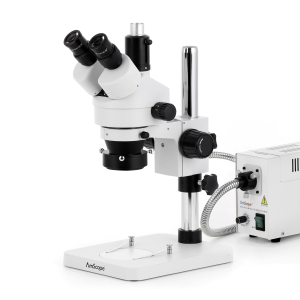 AmScope SM-1TS-FOR-20MBI3 SM-1 Series Zoom Trinocular Stereo Microscope 7X-45X Magnification w/ 150W Halogen Ring Light and 20MP USB 3.0 C-mount Camera on Pillar Stand