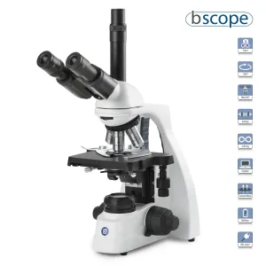 Product image for BS1153-PLI