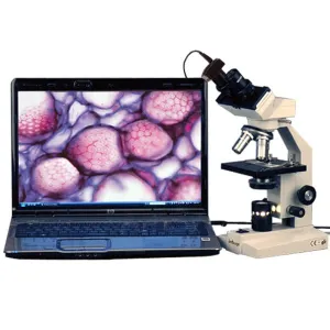 Product image for B100-5M