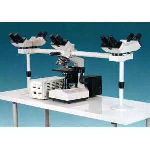 AmScope D500 D500 Series Training and Observation Multi view Binocular Compound Microscope with 20W Light and 3D Mechanical Stage