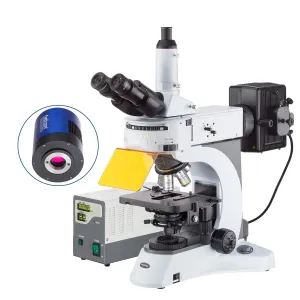 AmScope FM820T-MF2003C FM820 Series Epi-fluorescence Trinocular Compound Microscope with Optional C-mount Camera