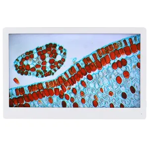 Product image for HDM