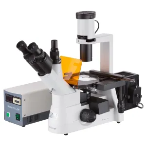AmScope IN300TC-FL-MF IN300 Series Inverted Fluorescence Trinocular Compound Microscope 40X-1000X Magnification with Phase-contrast and 3MP SCMOS Camera