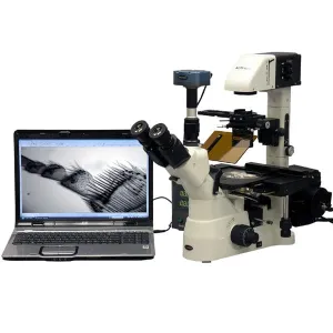 AmScope IN480TC-FL-BWF IN480 Series Inverted Infinity-corrected Phase-contrast Trinocular Compound Microscope 40X-1500X Magnification with Koehler Illumination and 1.4MP Monochrome CCD Camera