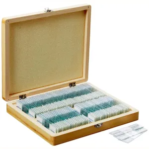 AmScope PS100E 100pc Prepared Glass Microscope Slides in Wood Case with Plant/Botany, Bacteria and Fungus Specimens - SET E