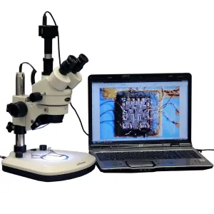 Product image for SM-1TZ2-PL-9M