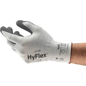 Product image for 11731100VP