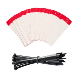 Product image for 101981