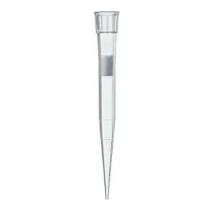 Product image for 732632