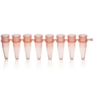 Product image for 781321
