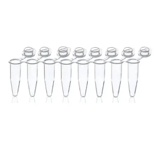 Product image for 781332