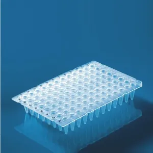 Product image for 781350