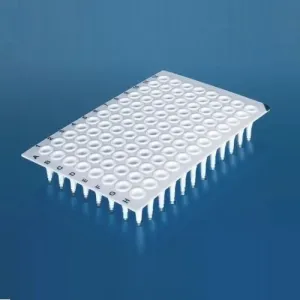 Product image for 781354