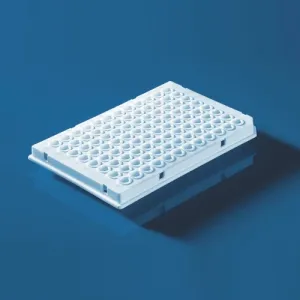 Product image for 781364